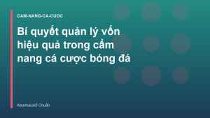 Read more about the article Bí quyết quản lý vốn hiệu quả trong cẩm nang cá cược bóng đá